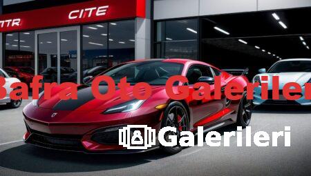 Bafra Oto Galerileri