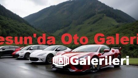 Giresun’da Oto Galerileri