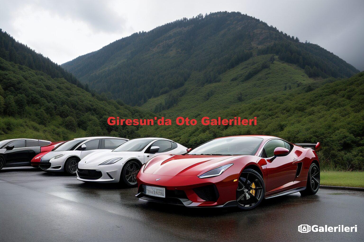 Giresun'da Oto Galerileri