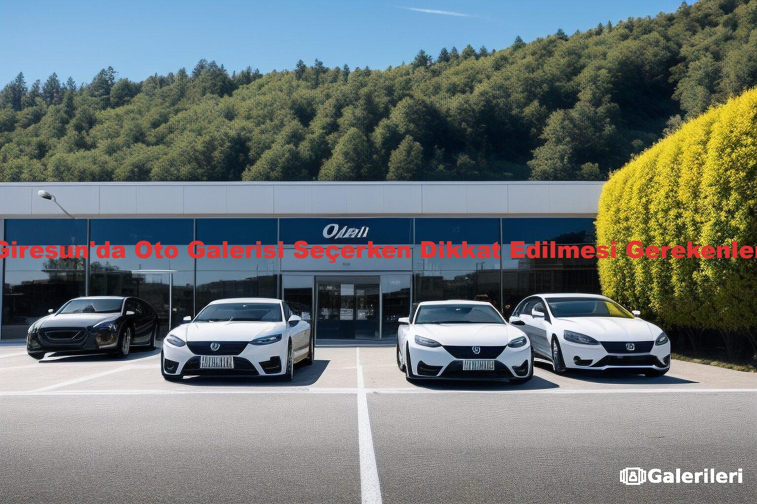 Giresun'da Oto Galerisi Seçerken Dikkat Edilmesi Gerekenler