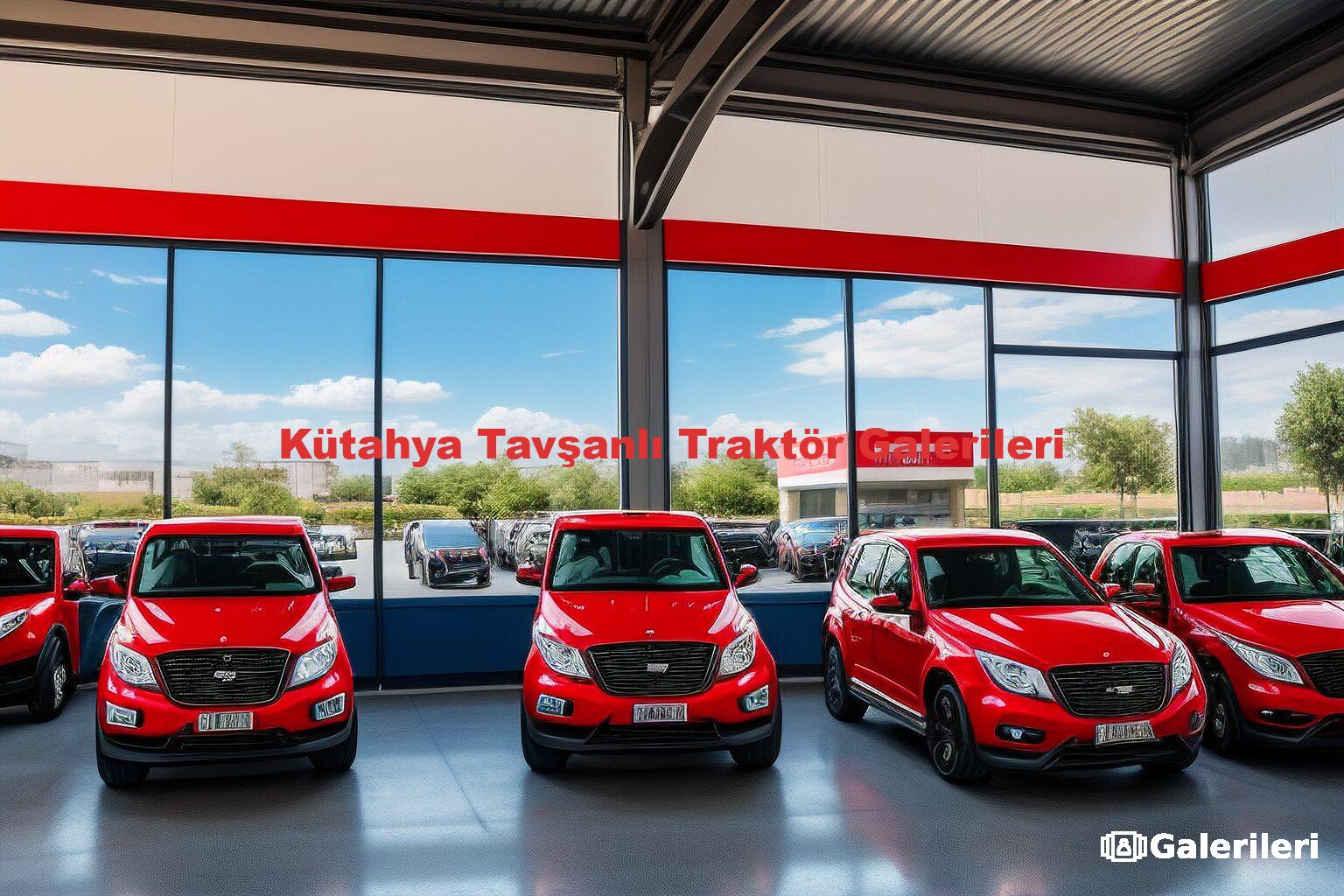 Kütahya Tavşanlı Traktör Galerileri