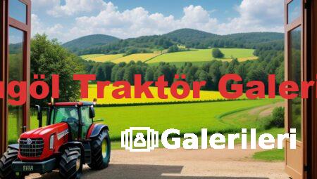 Sarıgöl Traktör Galerileri