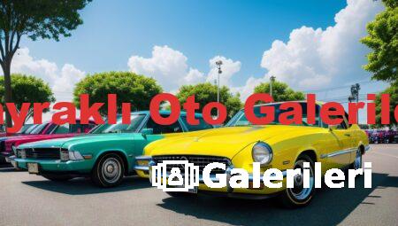 Bayraklı Oto Galerileri
