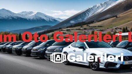 Erzurum Oto Galerileri Listesi