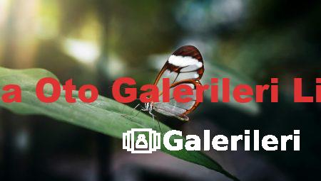 Adana Oto Galerileri Listesi