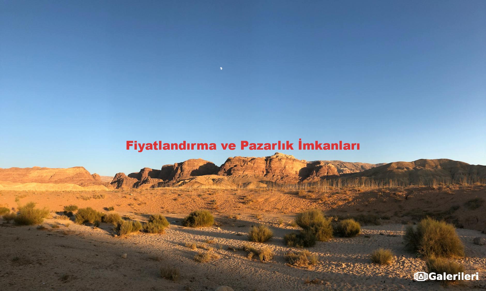 Fiyatlandırma ve Pazarlık İmkanları