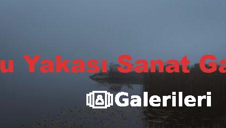 Anadolu Yakası Sanat Galerileri