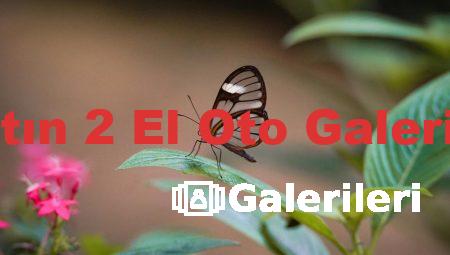 Bartın 2 El Oto Galerileri