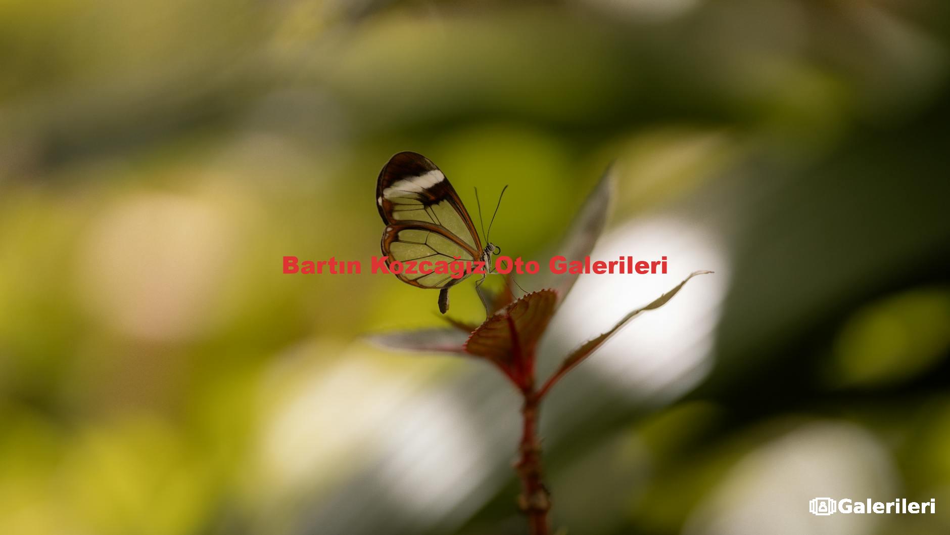 Bartın Kozcağız Oto Galerileri