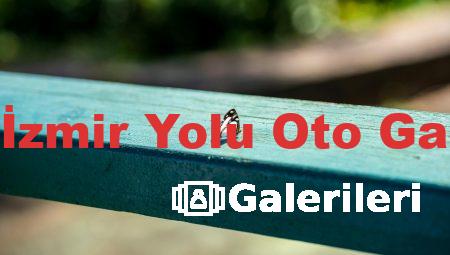Bursa İzmir Yolu Oto Galerileri
