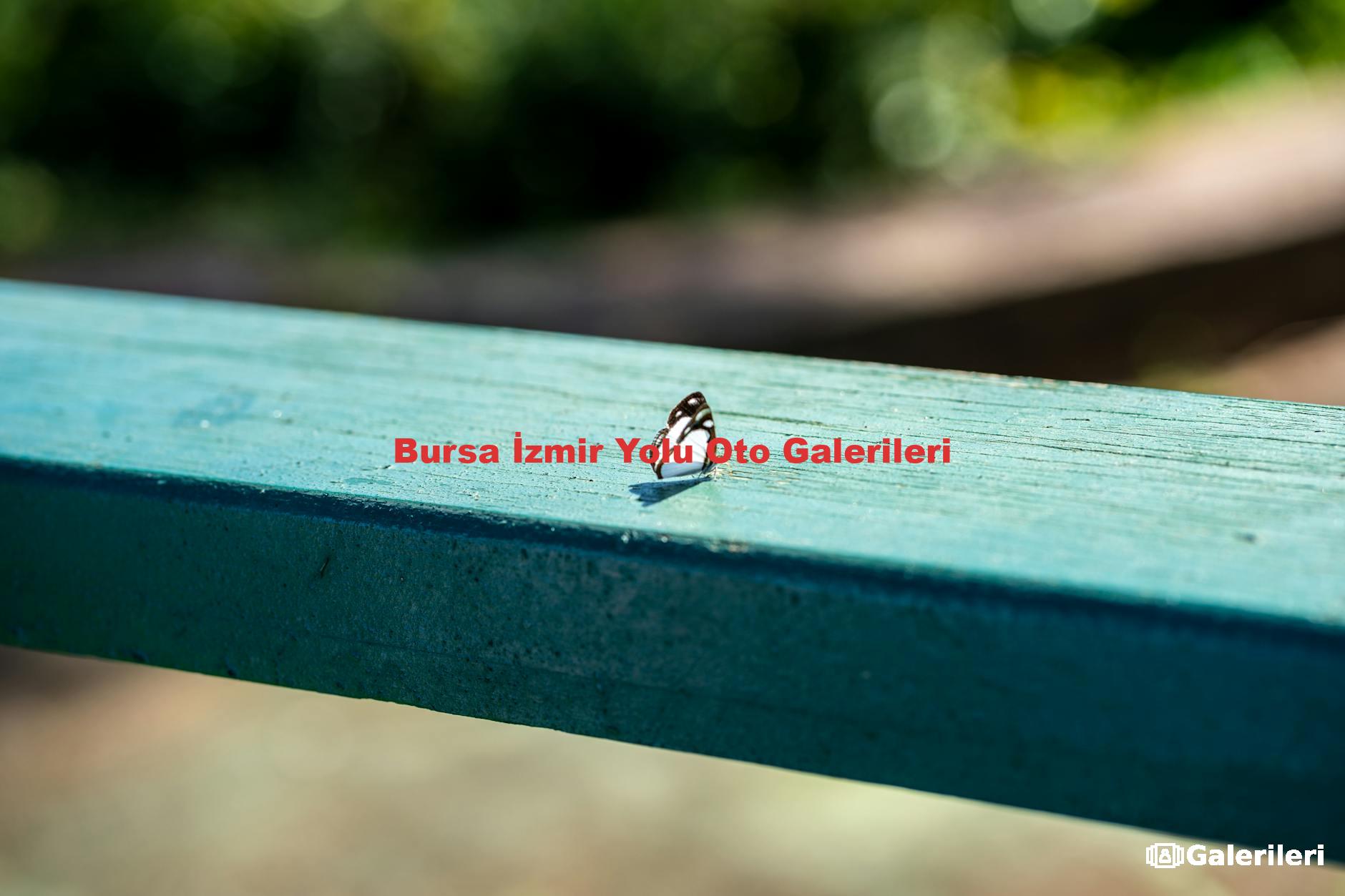 Bursa İzmir Yolu Oto Galerileri