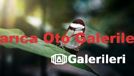 Darıca Oto Galerileri