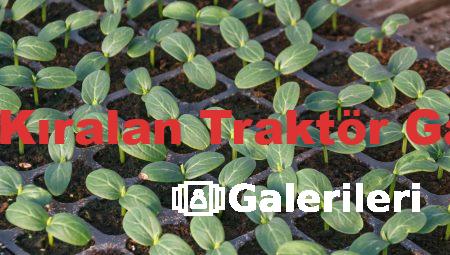 Denizli Kıralan Traktör Galerileri