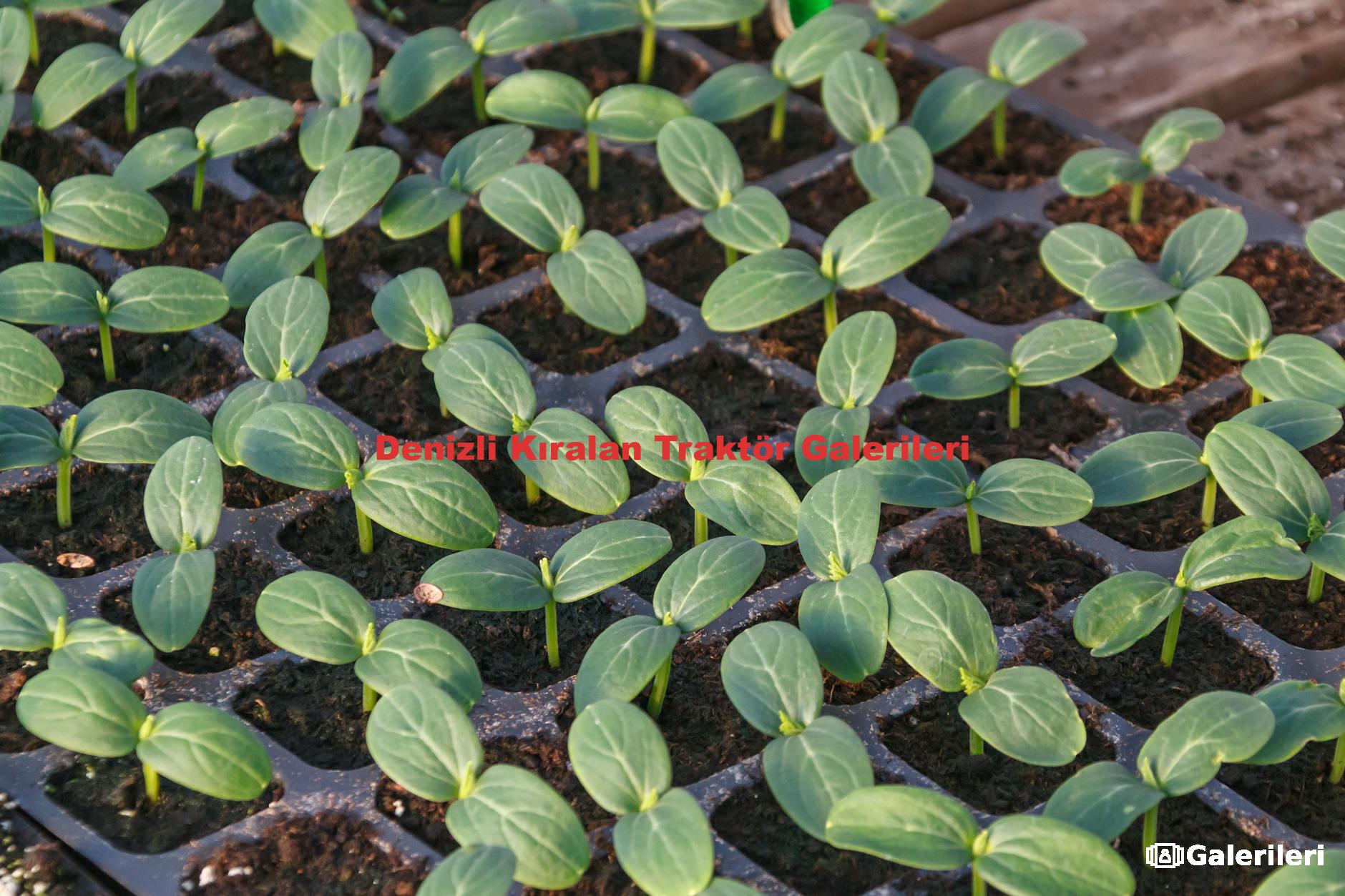 Denizli Kıralan Traktör Galerileri
