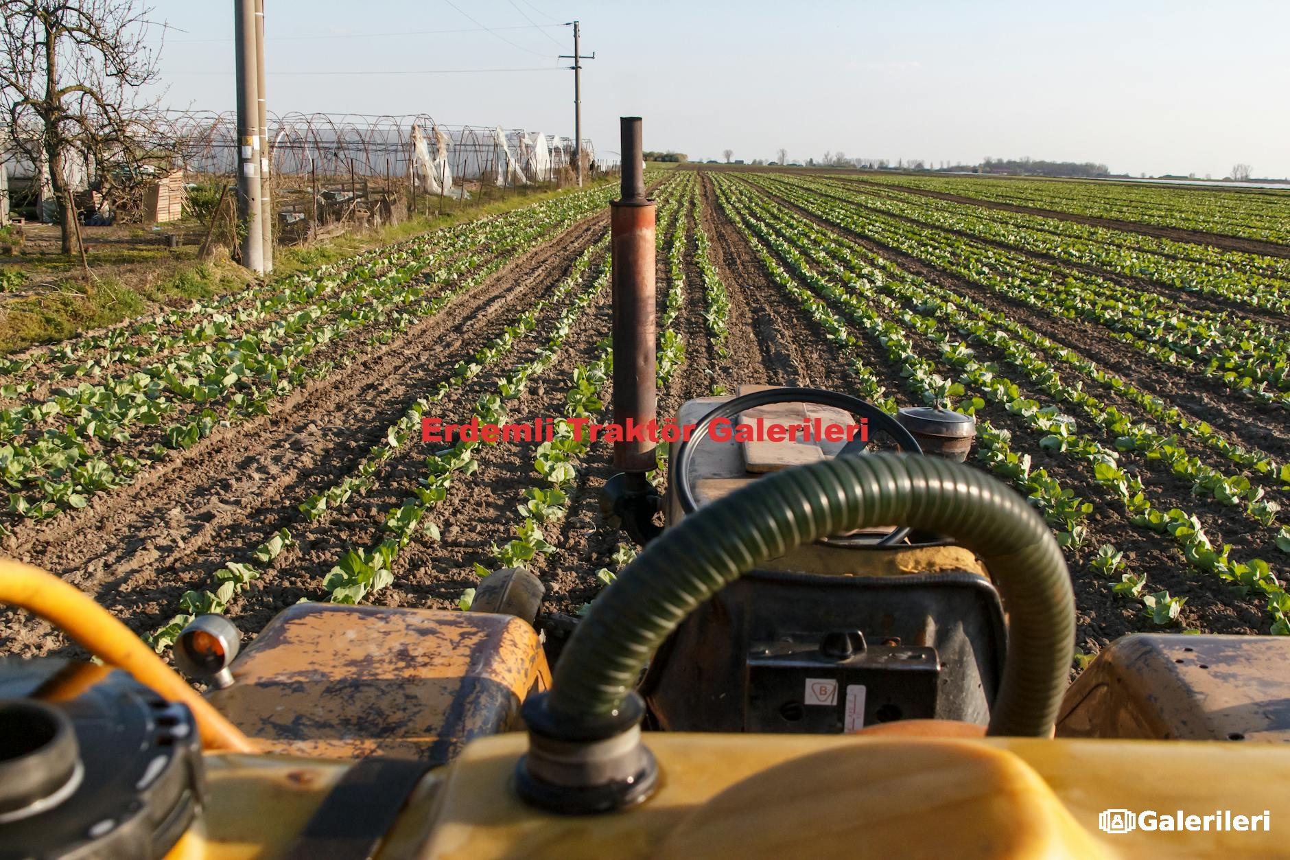 Erdemli Traktör Galerileri