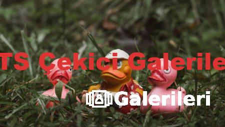 ETS Çekici Galerileri