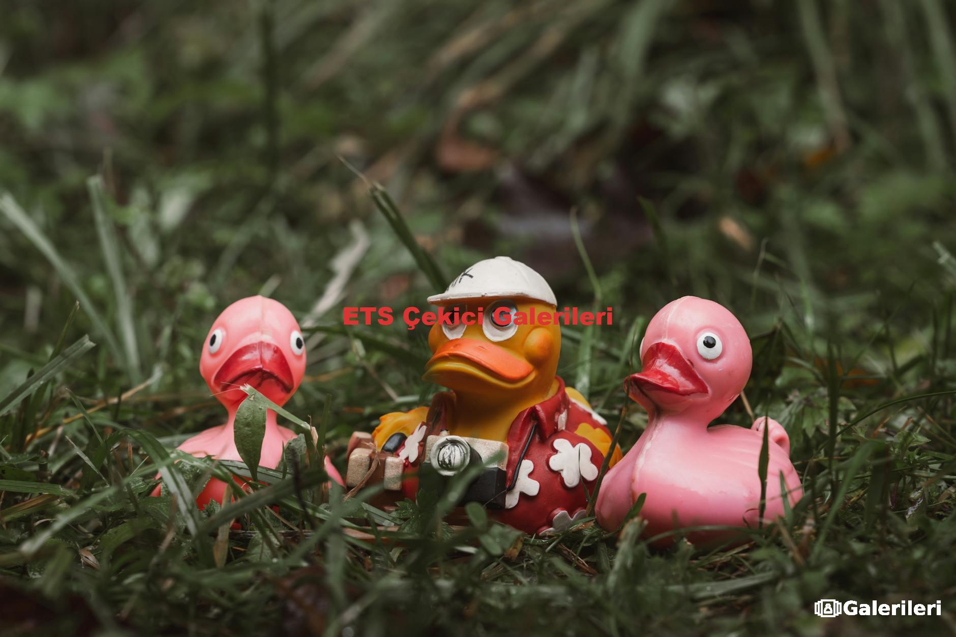 ETS Çekici Galerileri
