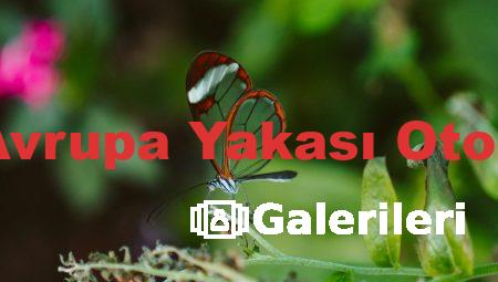 İstanbul Avrupa Yakası Oto Galerileri
