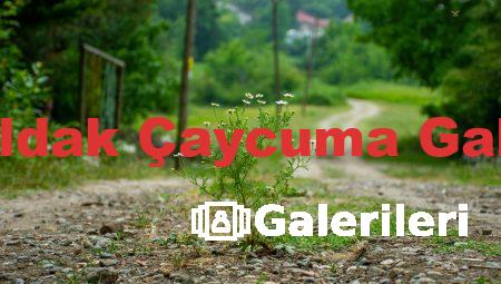 Zonguldak Çaycuma Galerileri