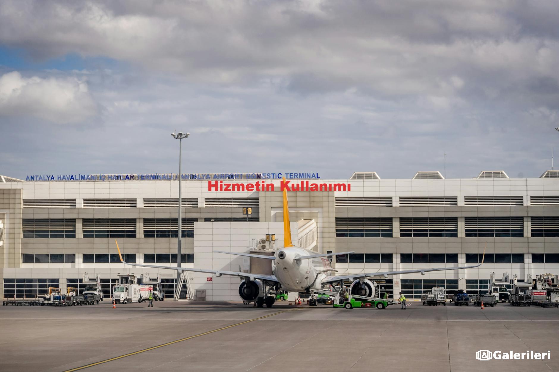 Hizmetin Kullanımı