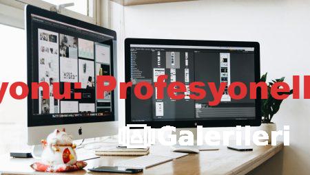 HP İş İstasyonu: Profesyonellerin Tercihi