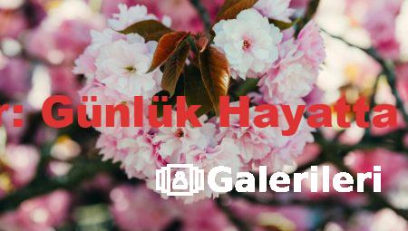 Almanca Günler: Günlük Hayatta Pratik Kullanım