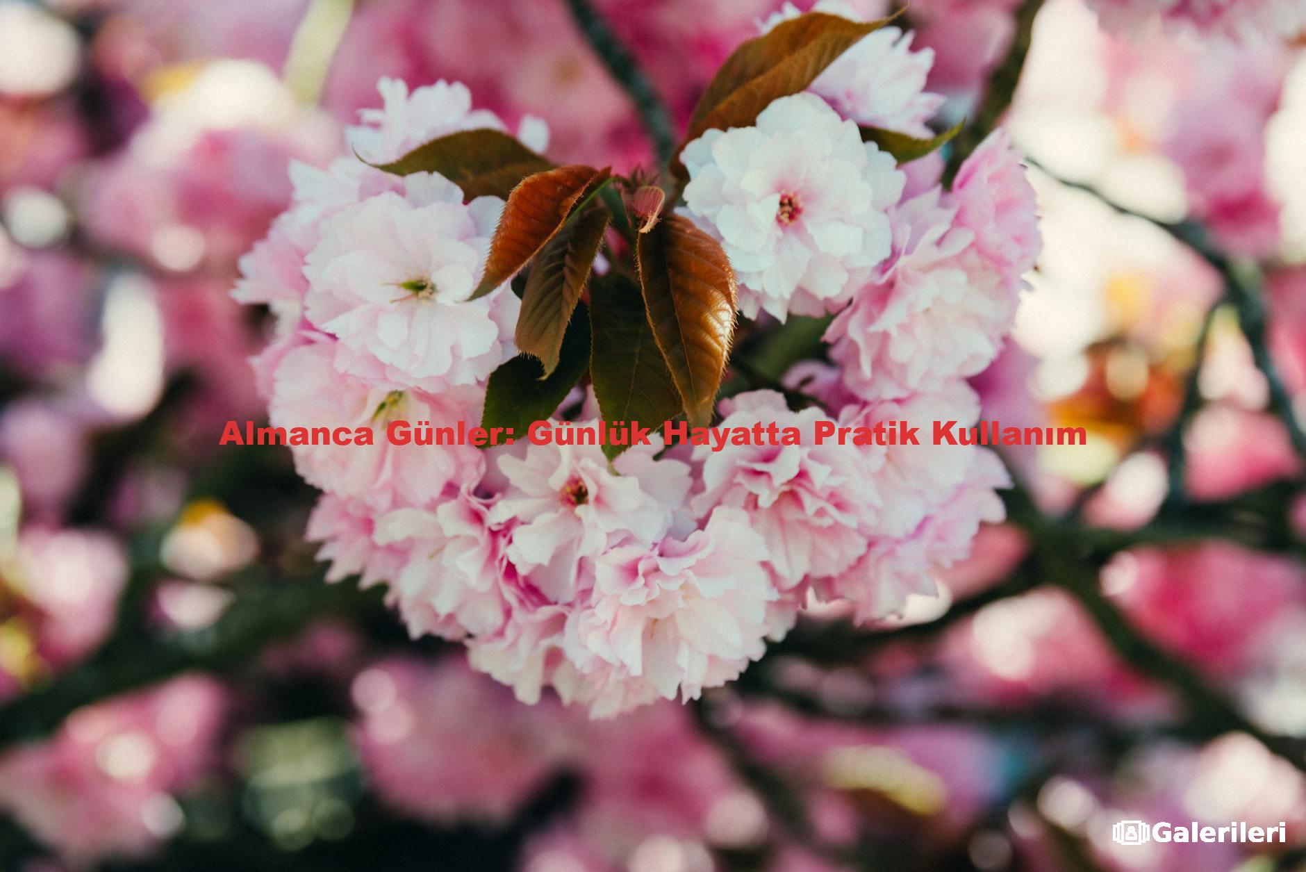 Almanca Günler: Günlük Hayatta Pratik Kullanım