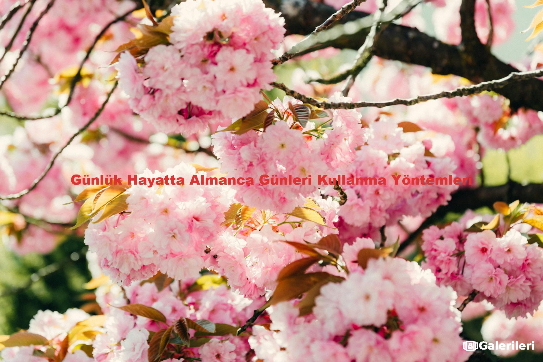Günlük Hayatta Almanca Günleri Kullanma Yöntemleri
