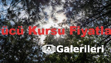 Bursa’da Sürücü Kursu Fiyatları Ne Kadar?
