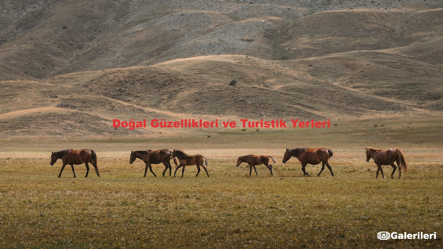 Doğal Güzellikleri ve Turistik Yerleri
