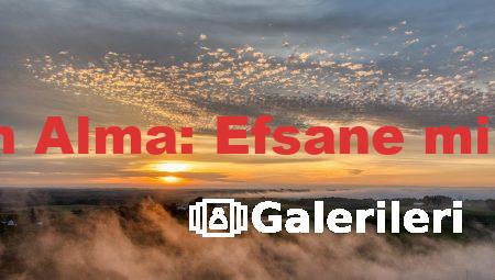 Takipçi Satın Alma: Efsane mi, Gerçek mi?