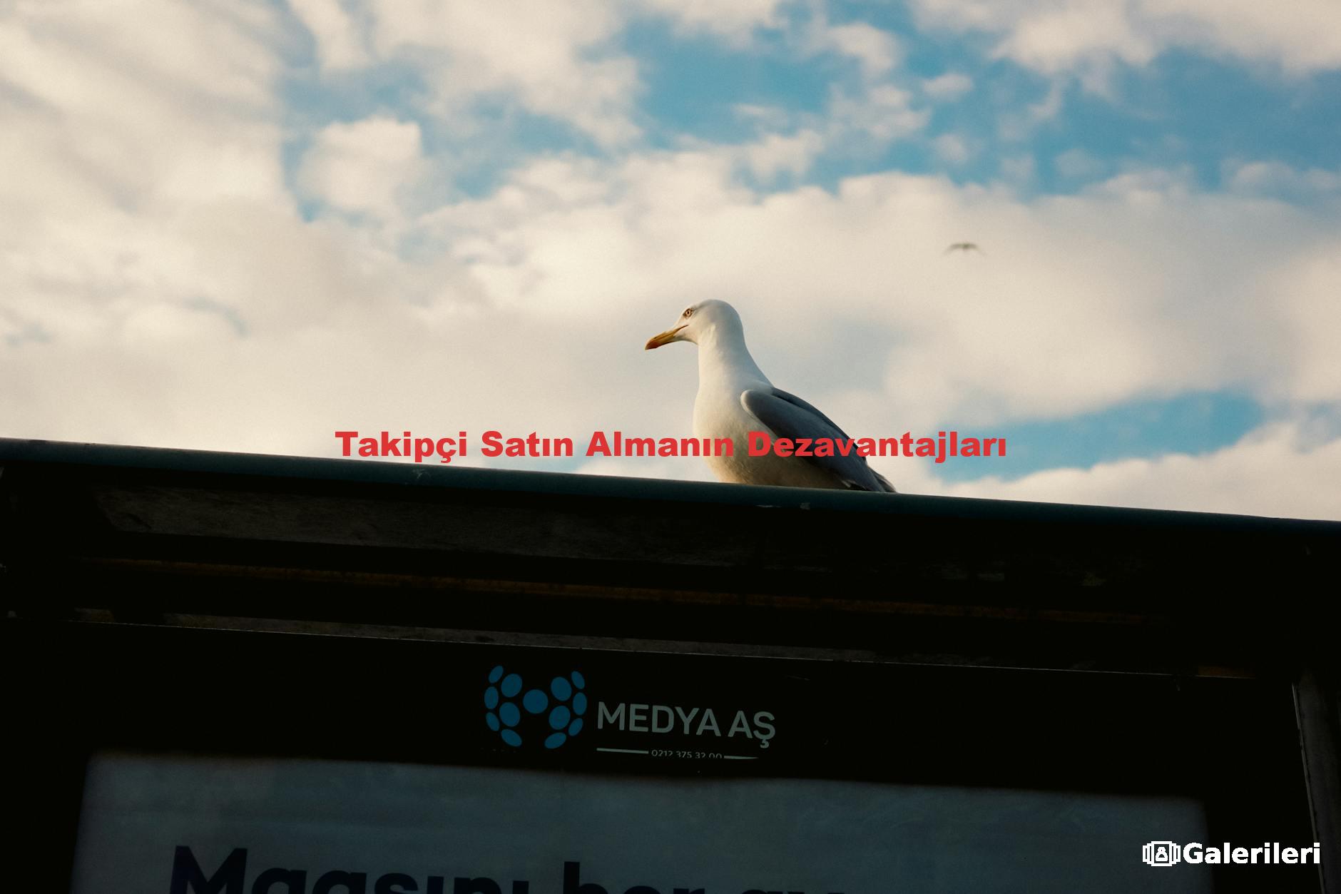 Takipçi Satın Almanın Dezavantajları