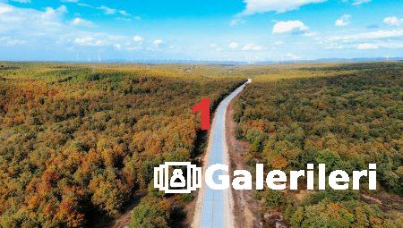 Alkol Fiyatları: Yılın En İyi Alışveriş Zamanı