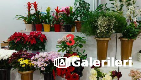 Floksia ile Çiçek Gönderiminde Fark Yaratın